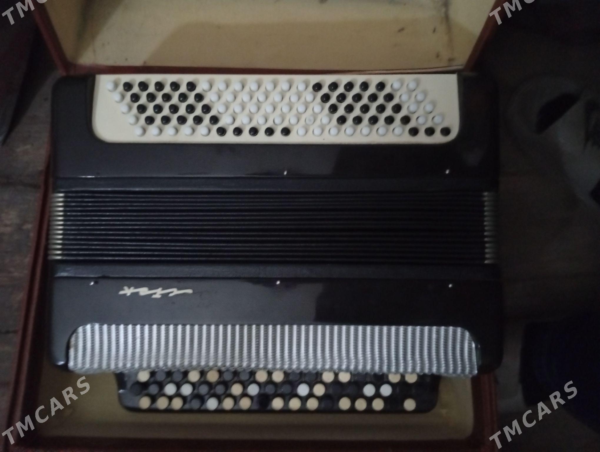 гармонь - Aşgabat - img 1