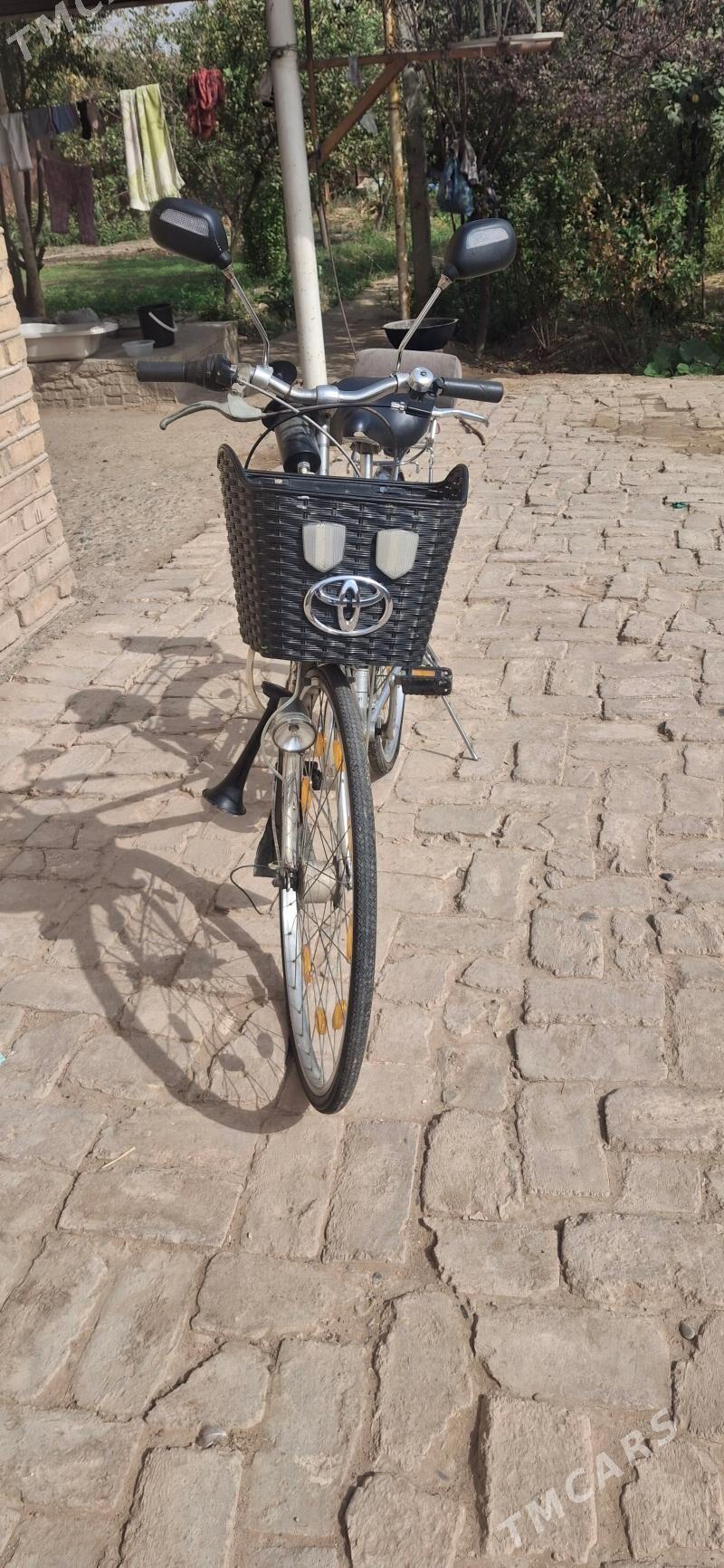 Welsepid 27 - Mary - img 2