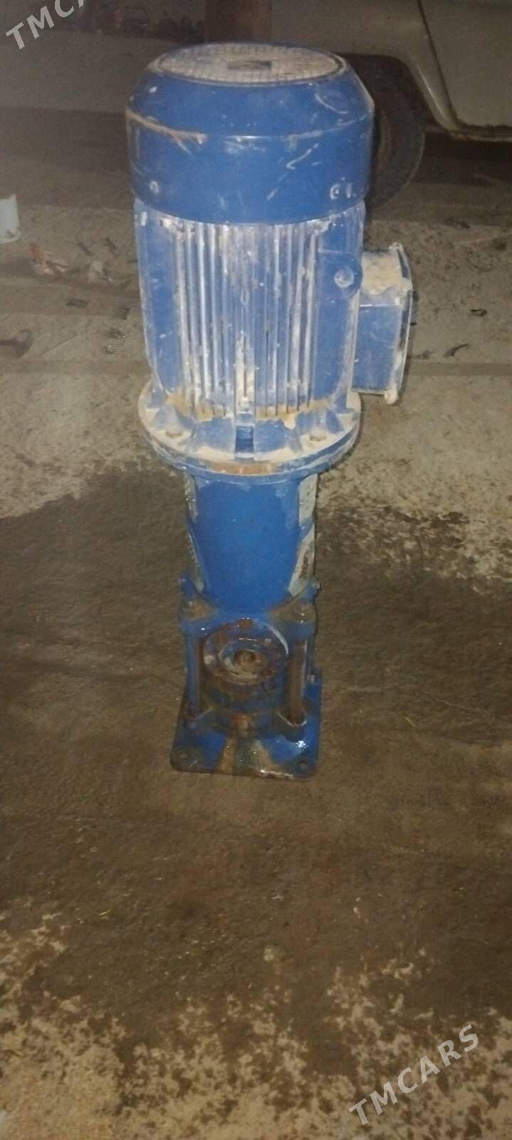 nasos - Bäherden - img 3