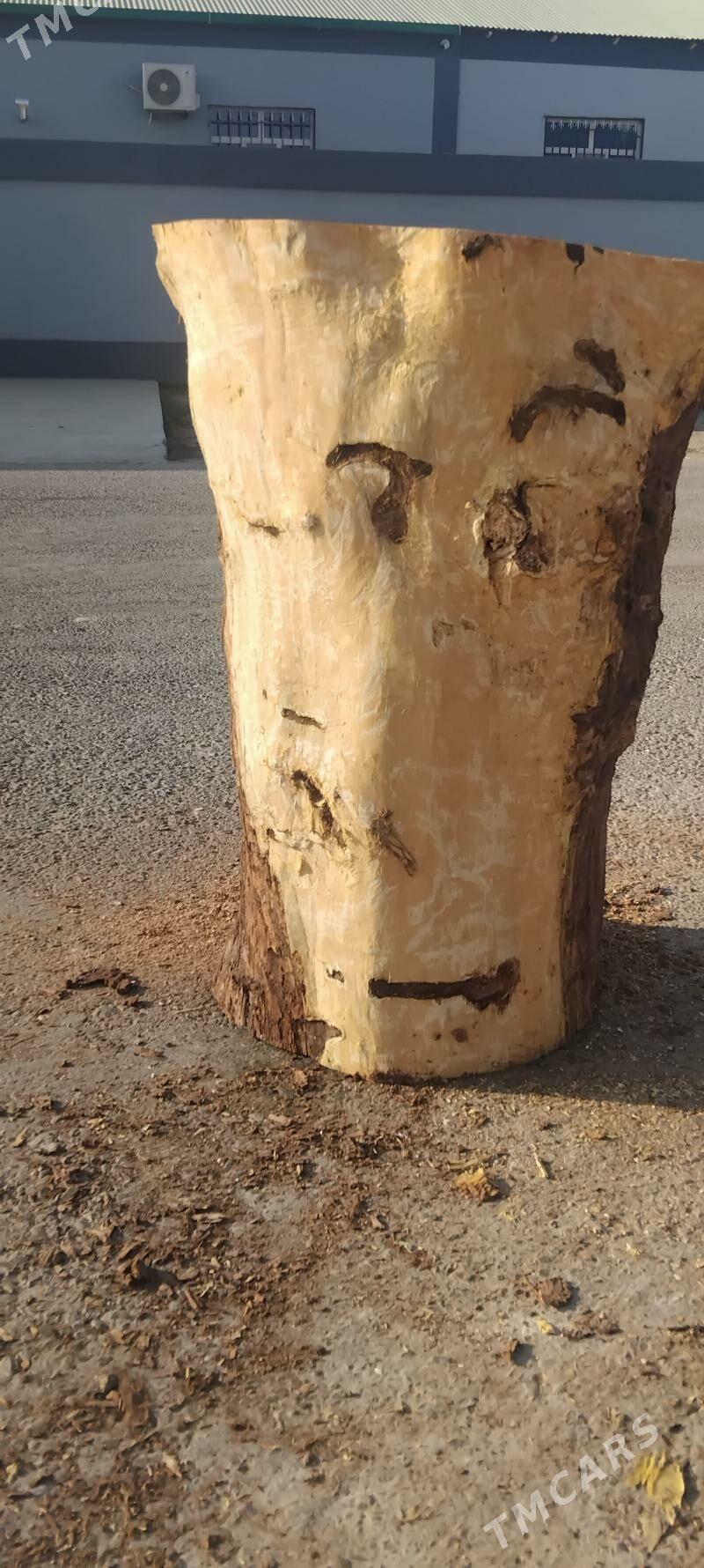 Çapgy - Gurtly - img 3