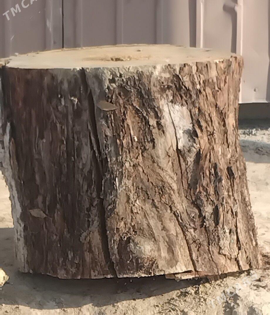 Çapgy - Gurtly - img 2