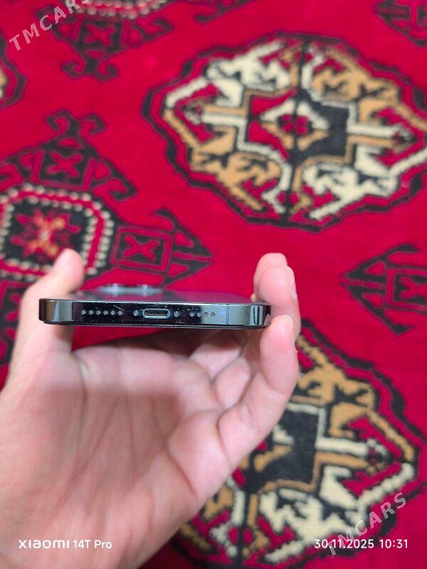 iPhone 12 Pro Max - Mary - img 4