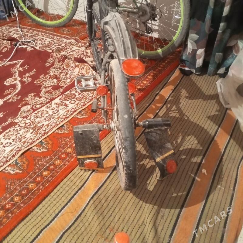 tigir amarsatr - Änew - img 1