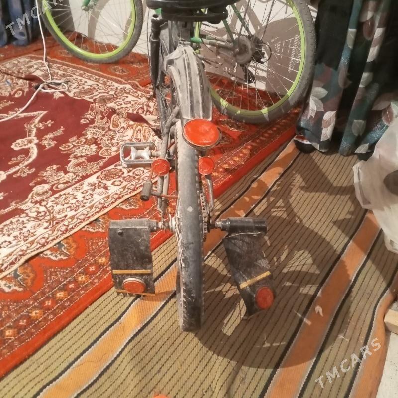 tigir amarsatr - Änew - img 3