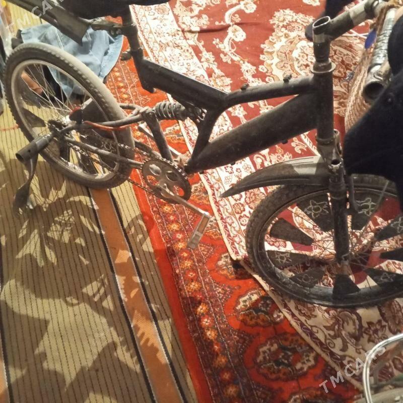 tigir amarsatr - Änew - img 2