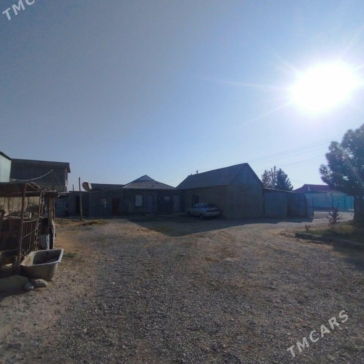 Satlyk ýer - Анев - img 3