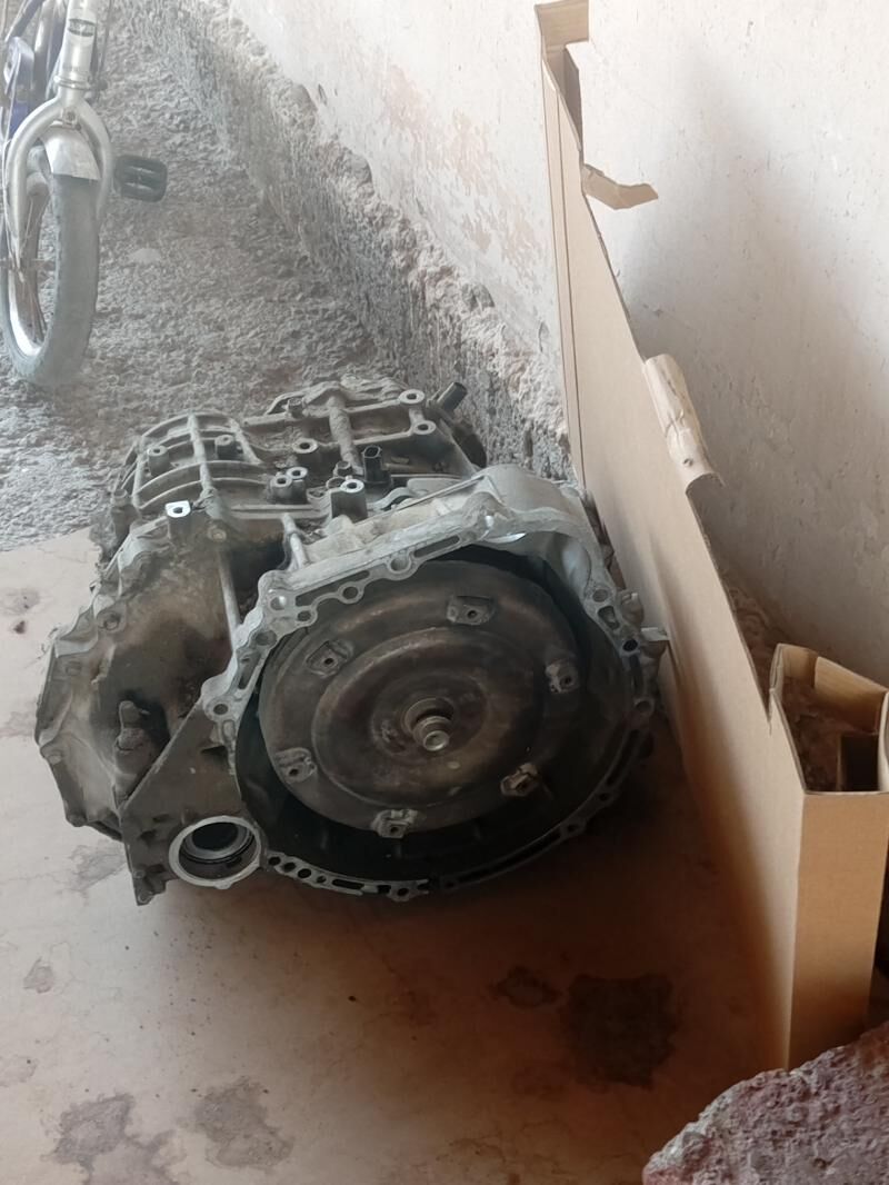 karopga2.4 öküz kele 2 600 TMT - Ашхабад - img 2