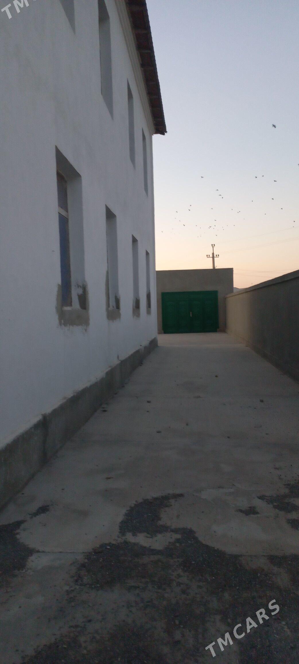 Адалат шахерче - Дашогуз - img 1