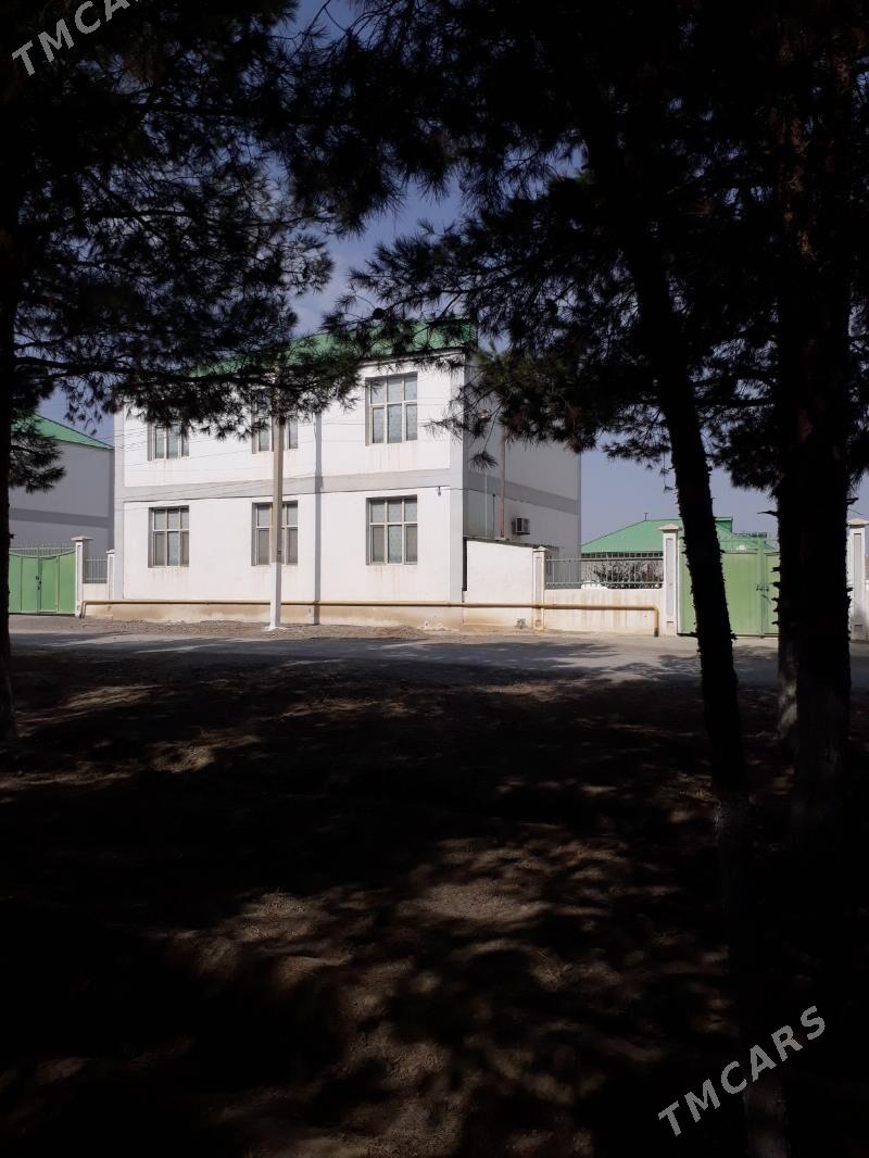 GÖKDEPE SATLYK KOTTEŽ - Gökdepe - img 2