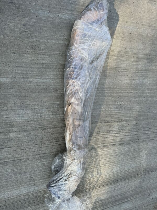 Land cruiser 100 запчасти 1 TMT - Gökdepe - img 4