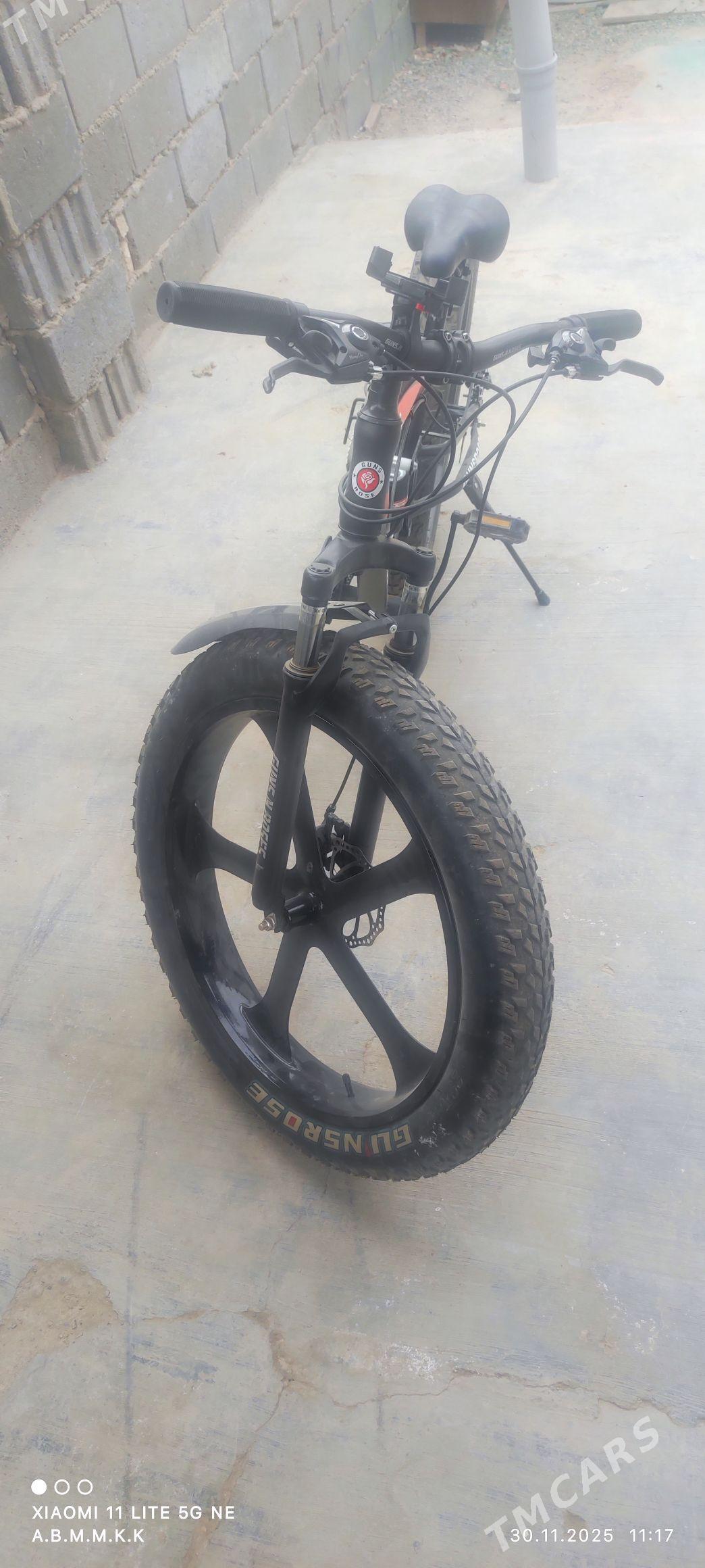 Welik Tigir - Туркменбаши - img 5