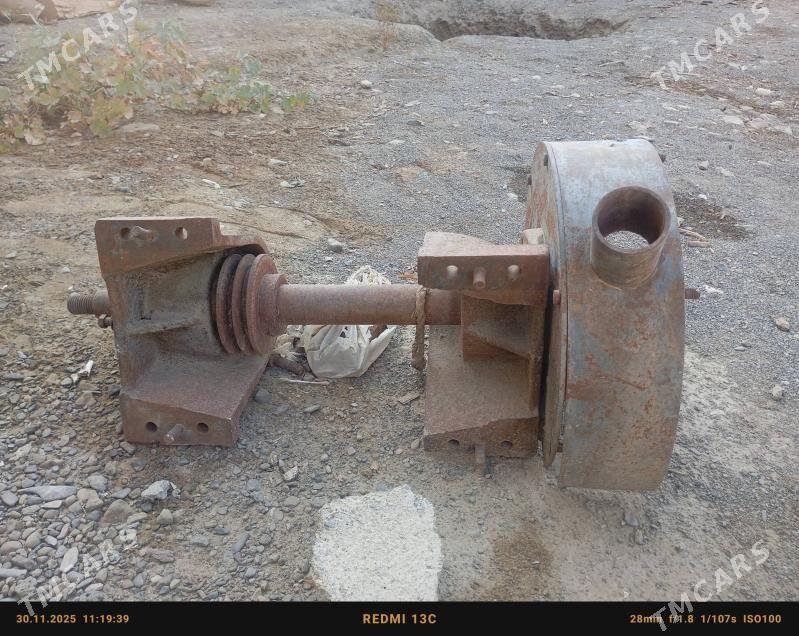 stanok wal - Bäherden - img 4