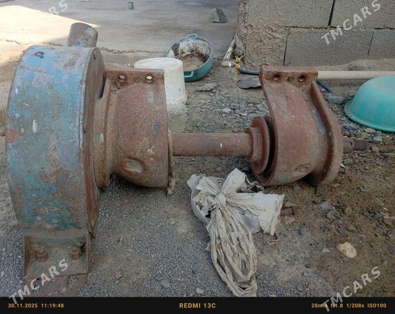 stanok wal - Bäherden - img 3