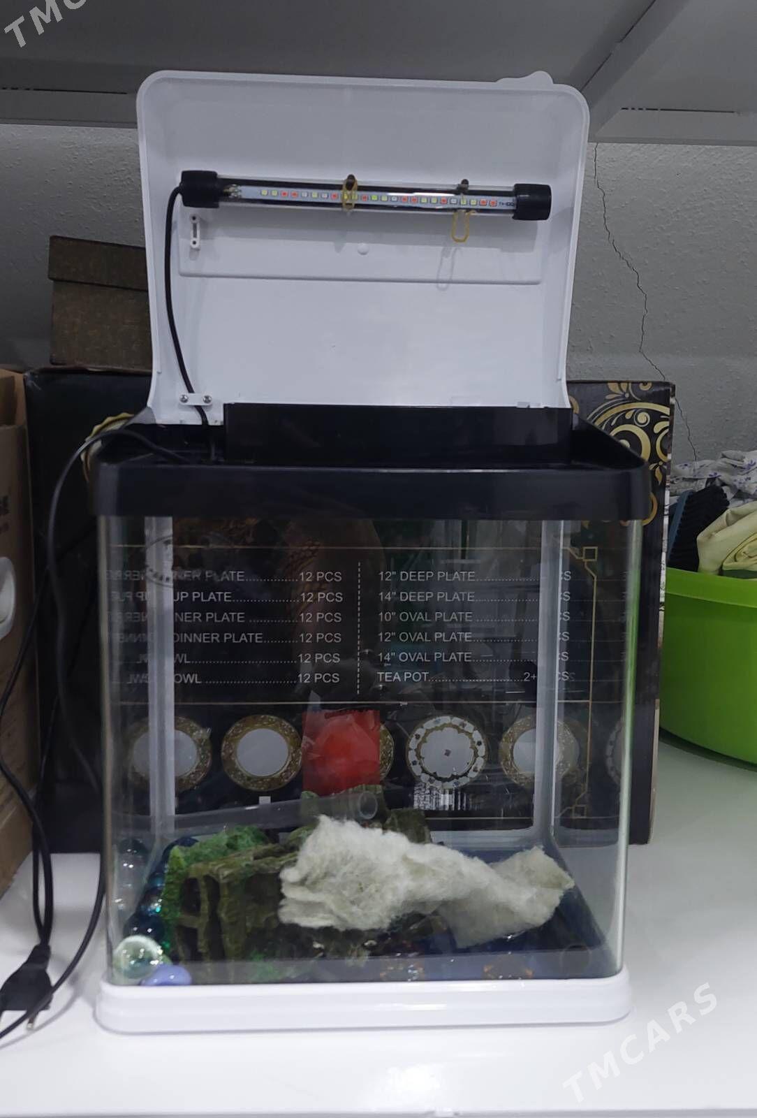 Akwarium balyk üçin - Ашхабад - img 1