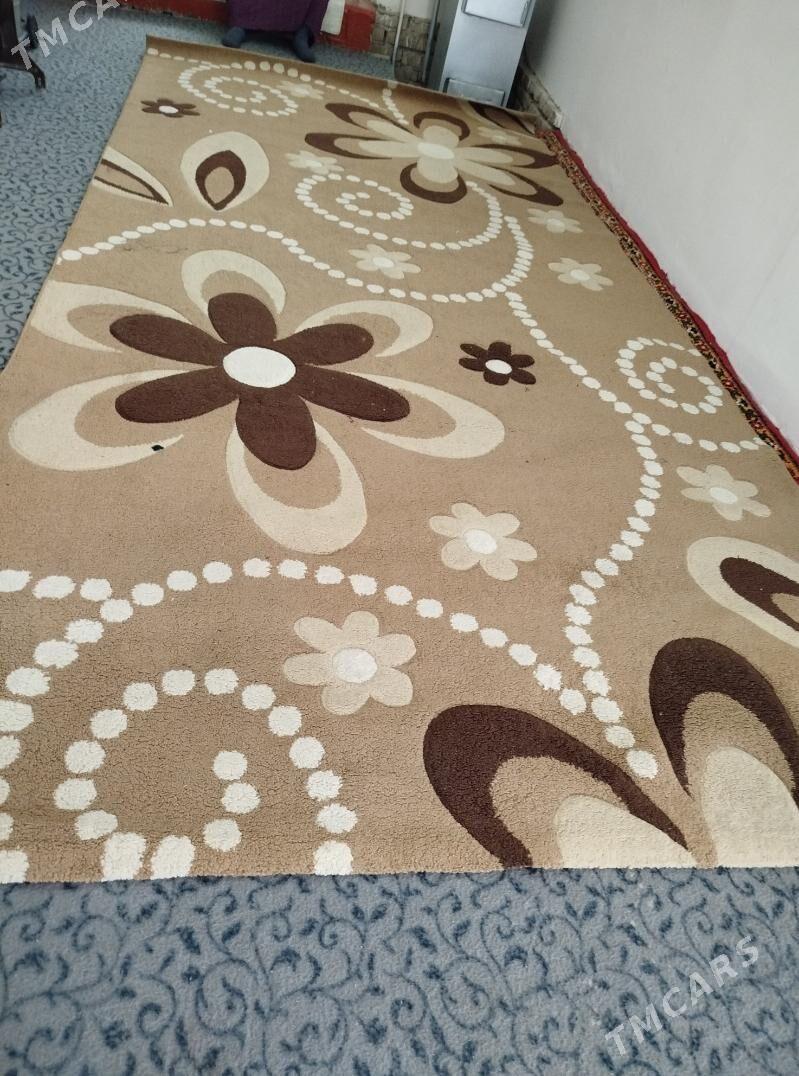 haly turkunki - Daşoguz - img 2