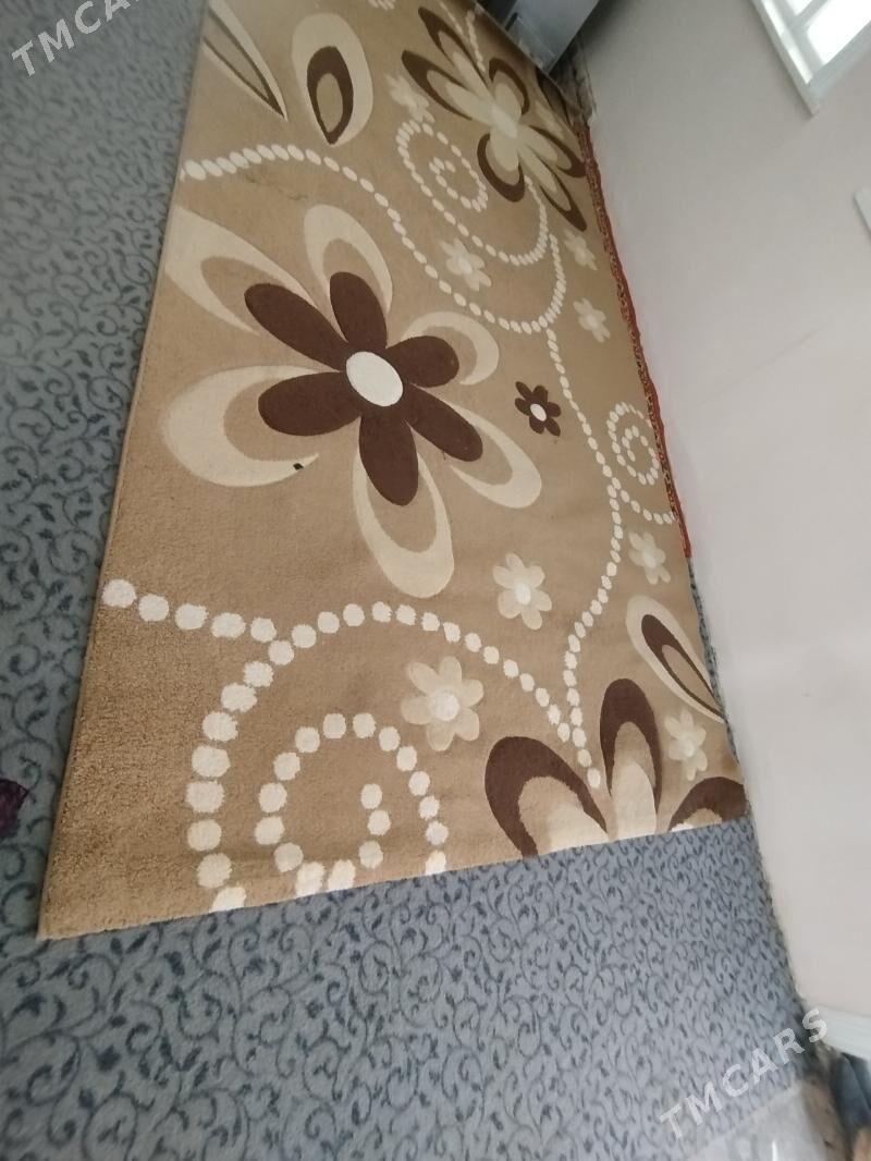 haly turkunki - Daşoguz - img 3