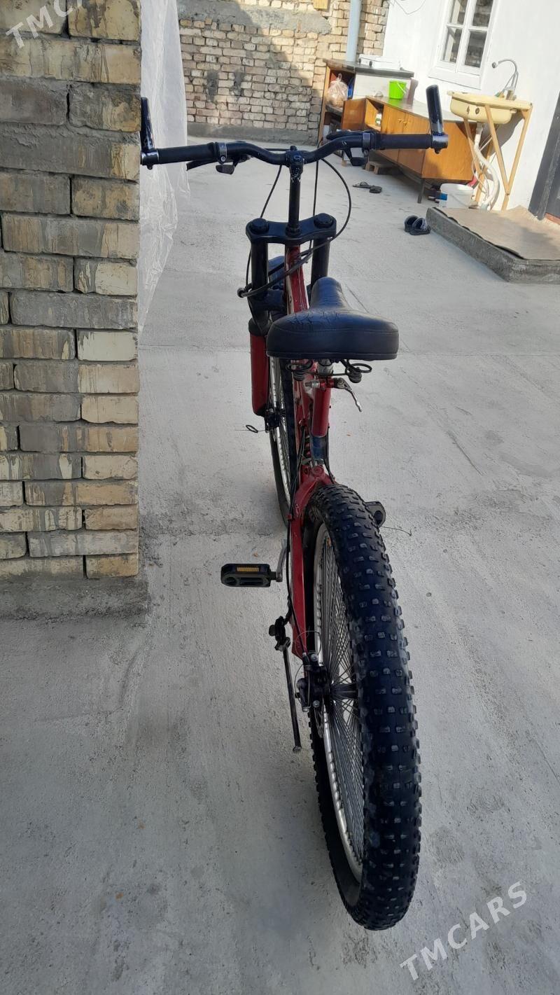 Olympia - Гёкдепе - img 4