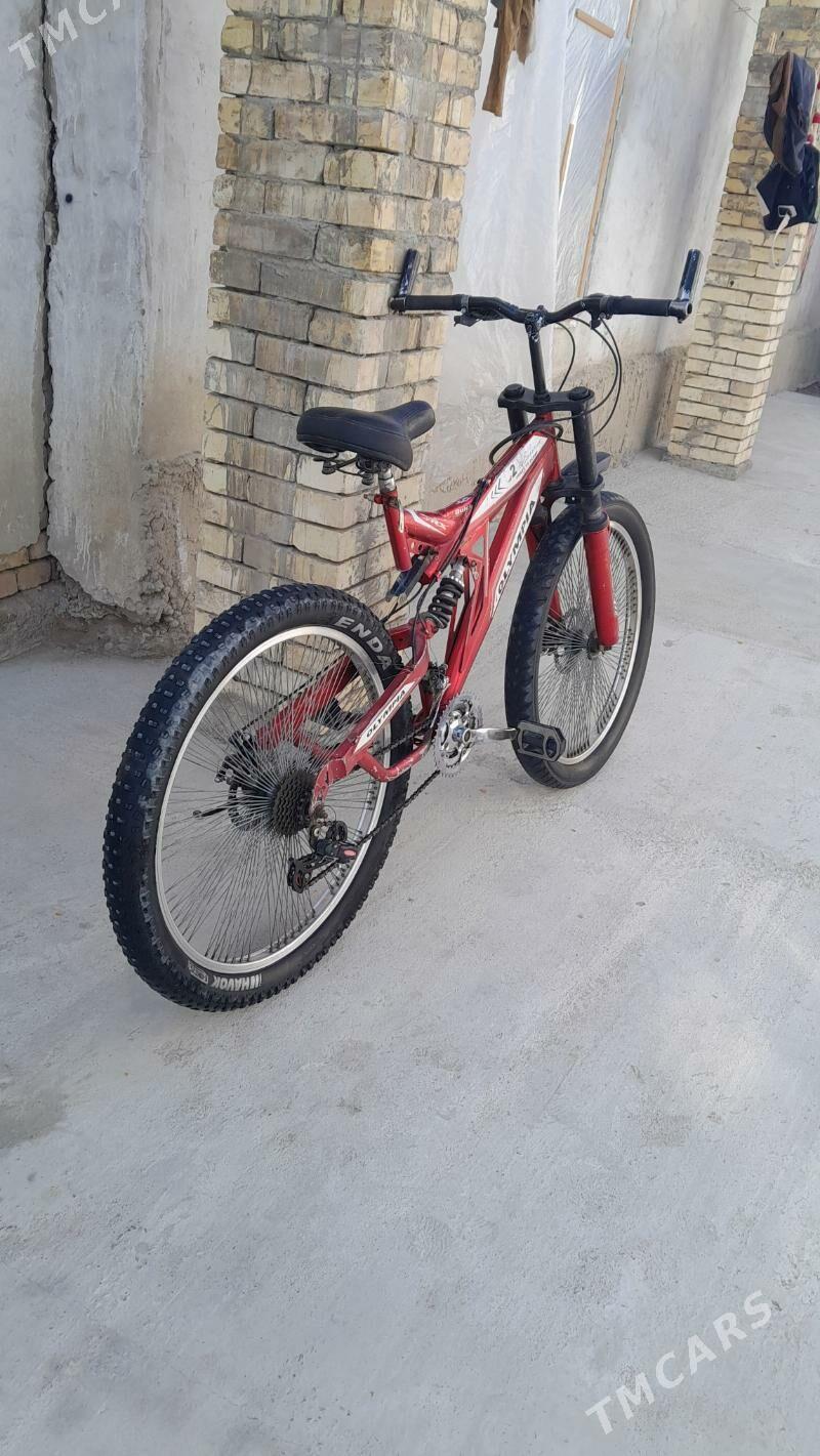 Olympia - Гёкдепе - img 5