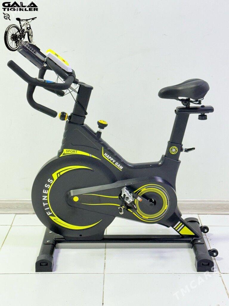 TENIS STOL LIZA BEGAWOY TIGIR - Гуртли - img 4