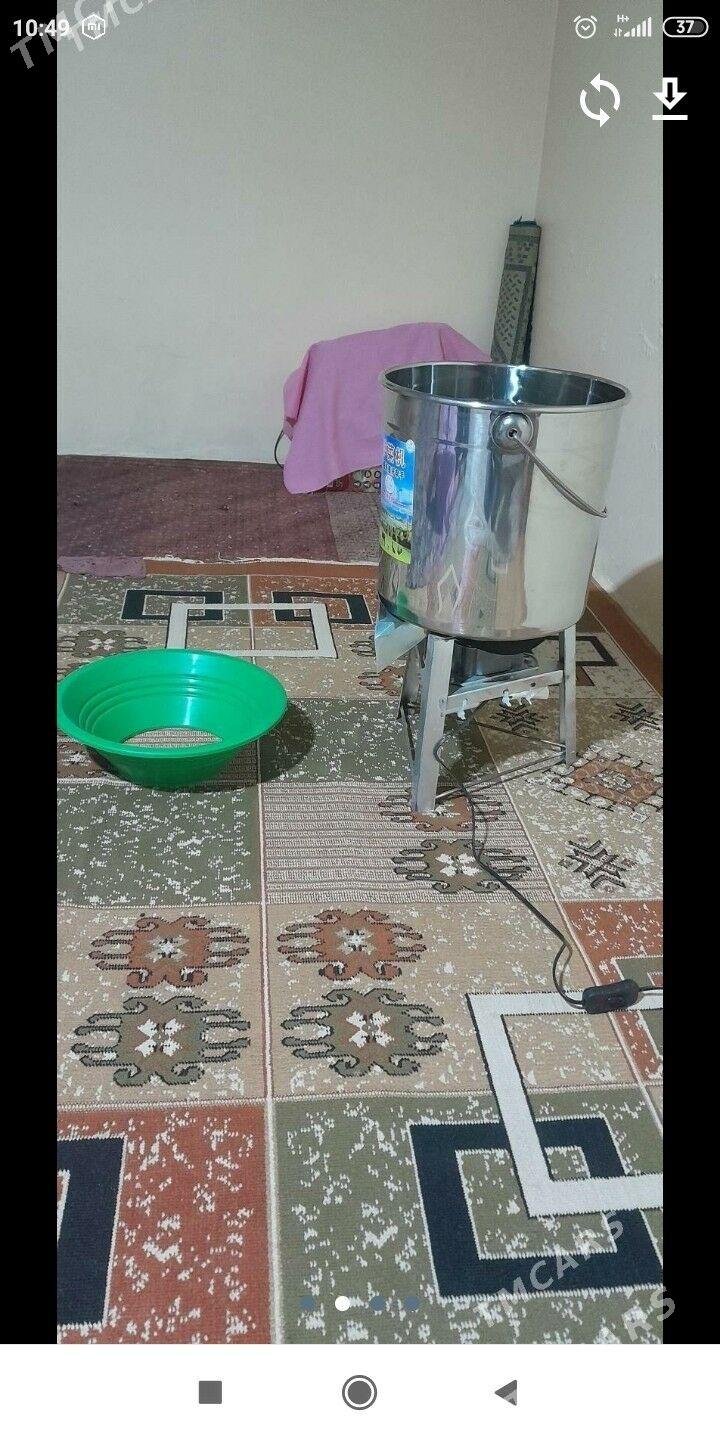 goýun - Балканабат - img 4