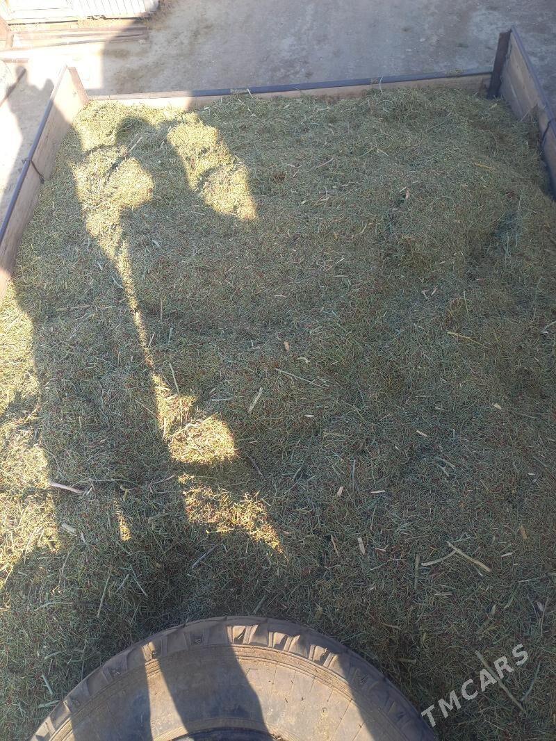 ÝANDAK - Bereket - img 3