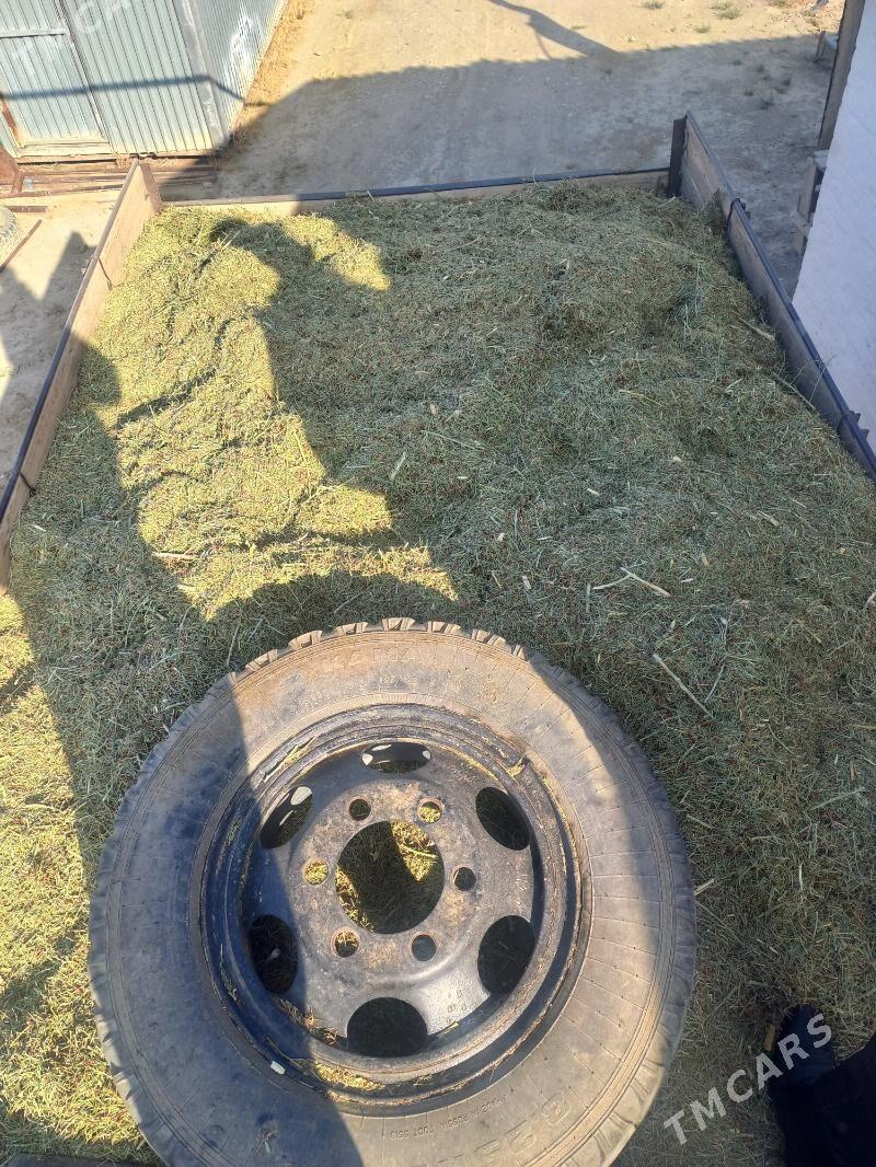 ÝANDAK - Bereket - img 1