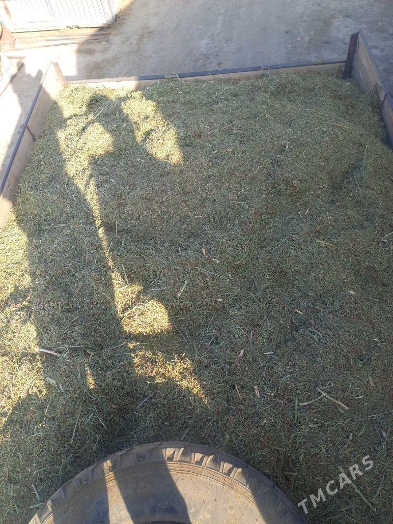 ÝANDAK - Bereket - img 2