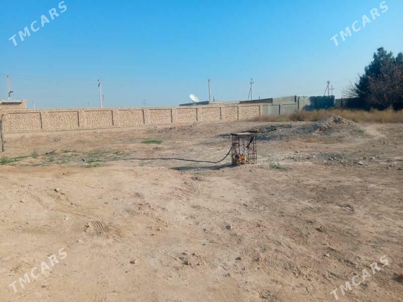 daca. 12sotuk - Mary - img 3