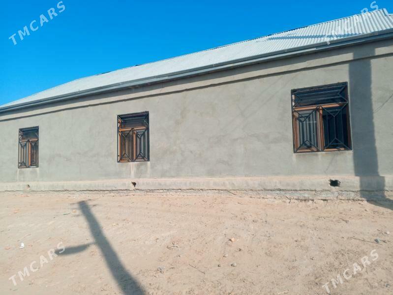 daca. 12sotuk - Mary - img 2