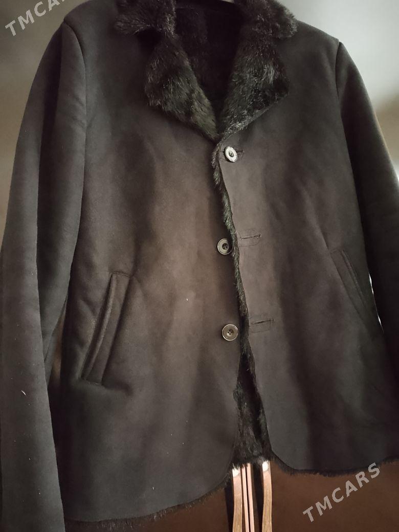 dbbulnka - Änew - img 1