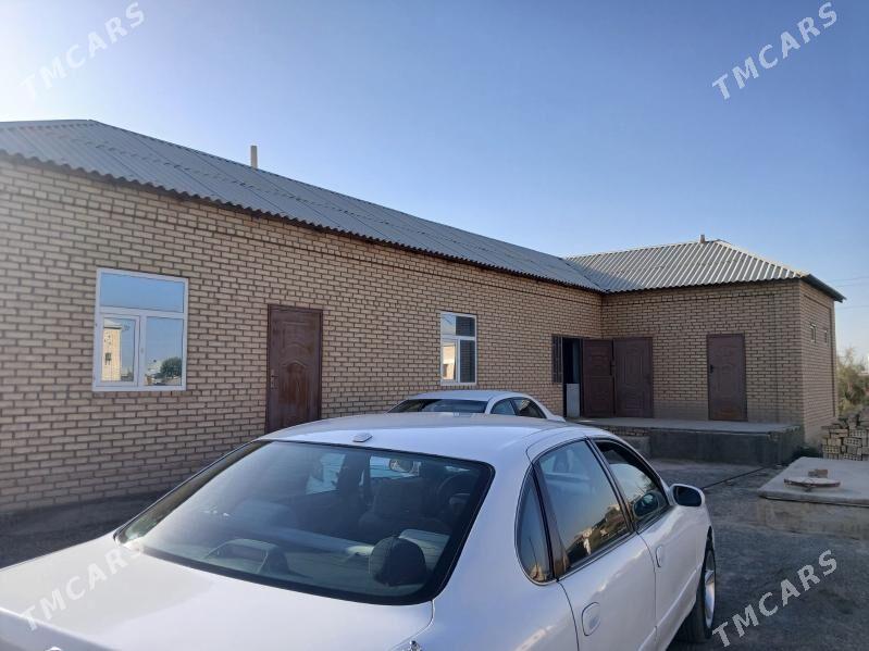 satlyk jay - Mary - img 2