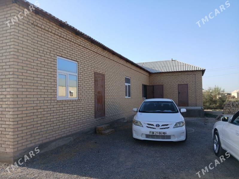 satlyk jay - Mary - img 3