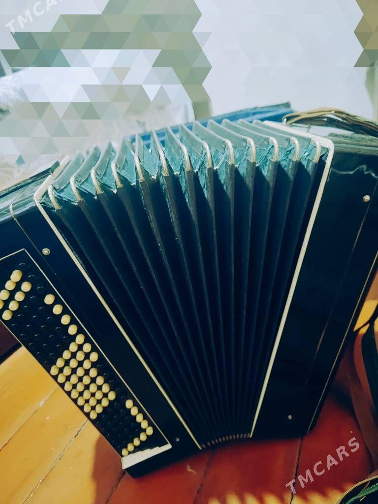 баян - Ашхабад - img 3