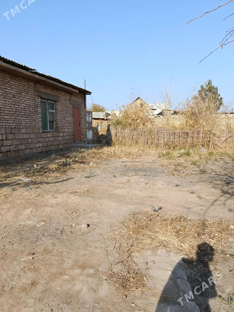 Satlyk jaý Tejen şäher - Tejen - img 3