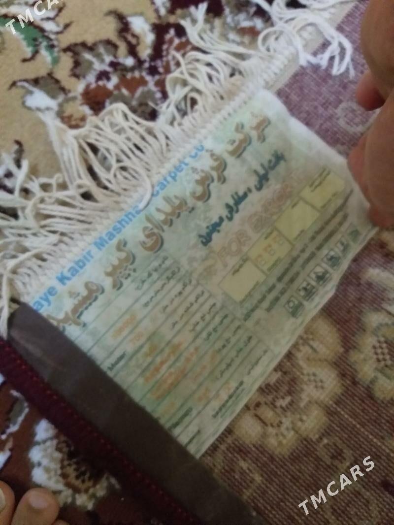 eyran haly 3.4 - 9 мкр - img 3