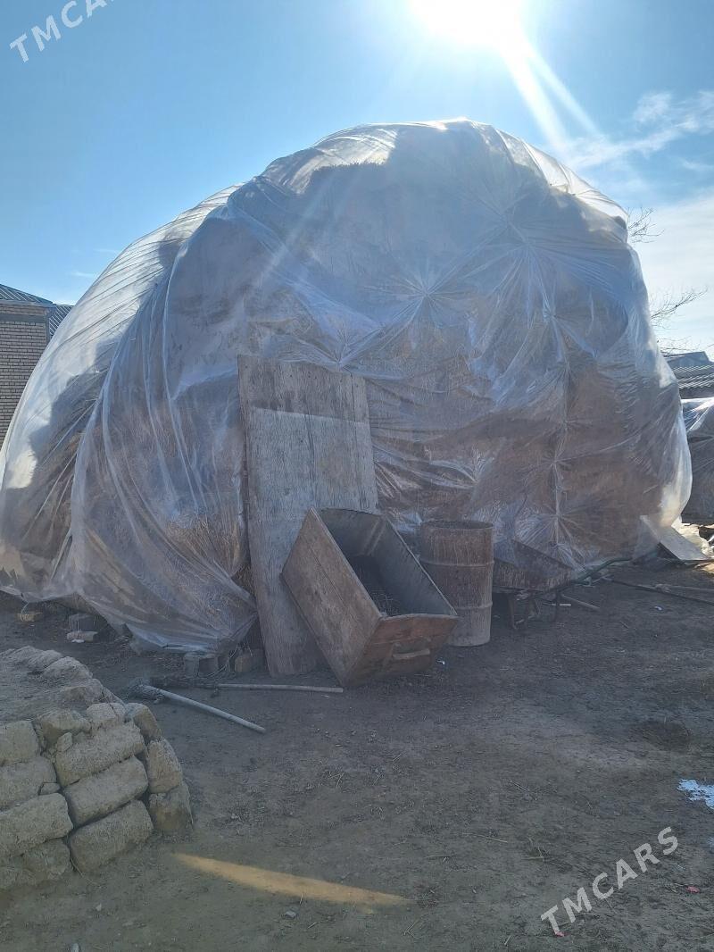 Saman - Gökdepe - img 2