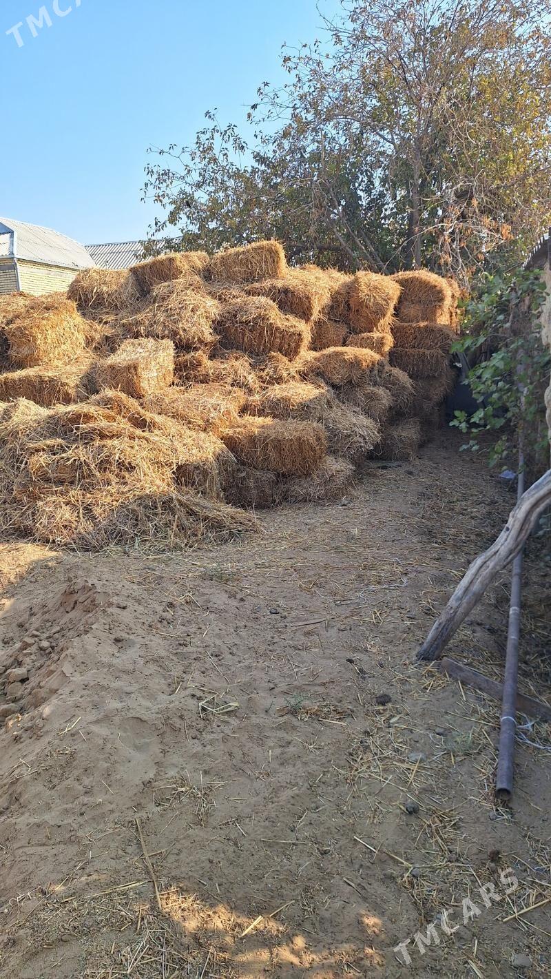 Saman - Gökdepe - img 3