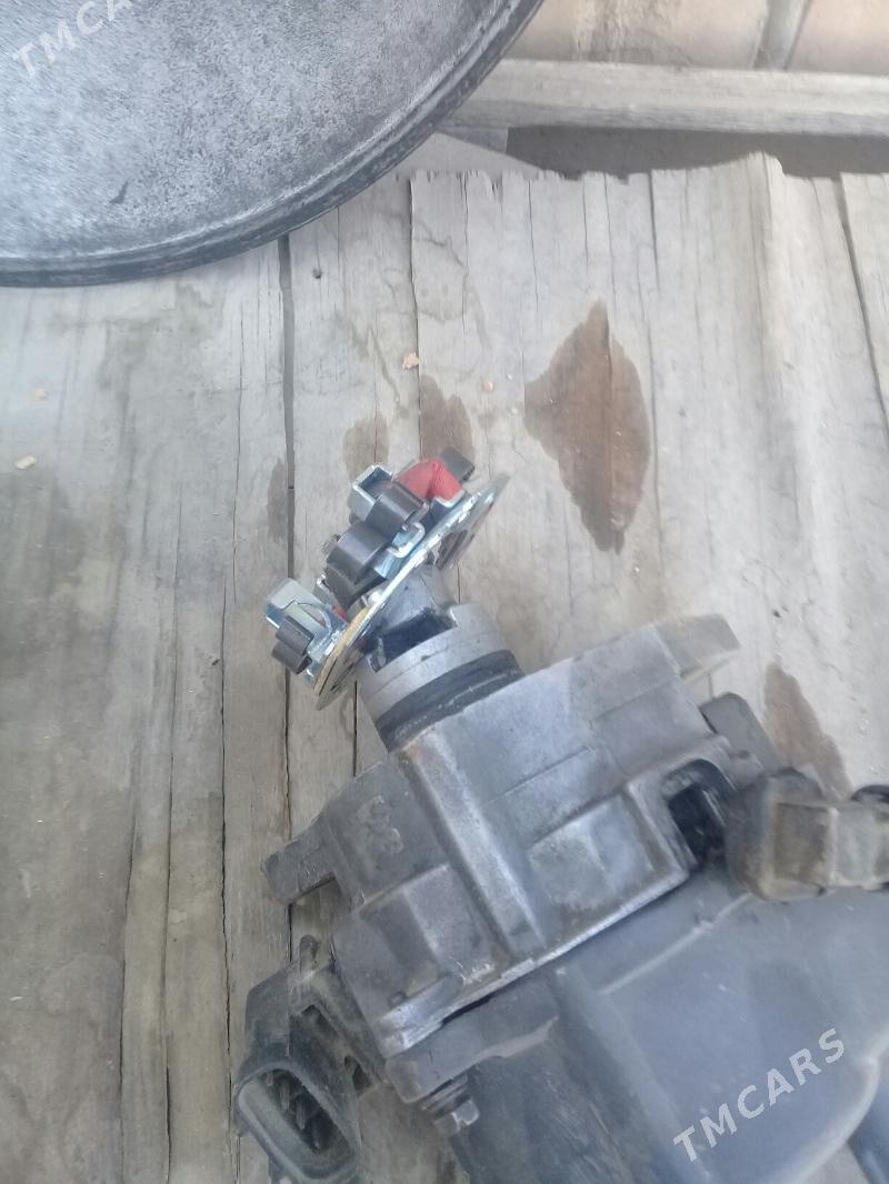 typym plyon - Murgap - img 2