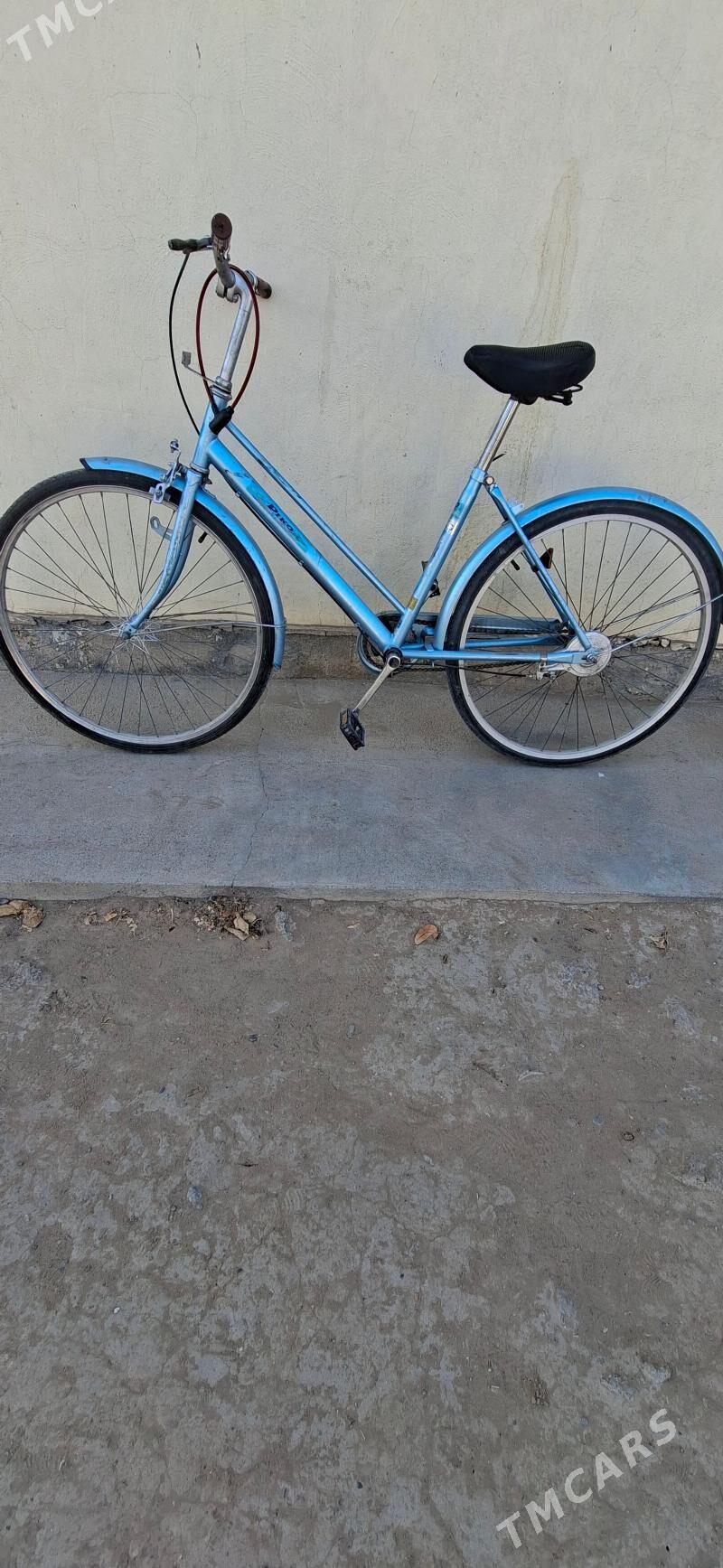 26lyk tigir - Херрикгала - img 4