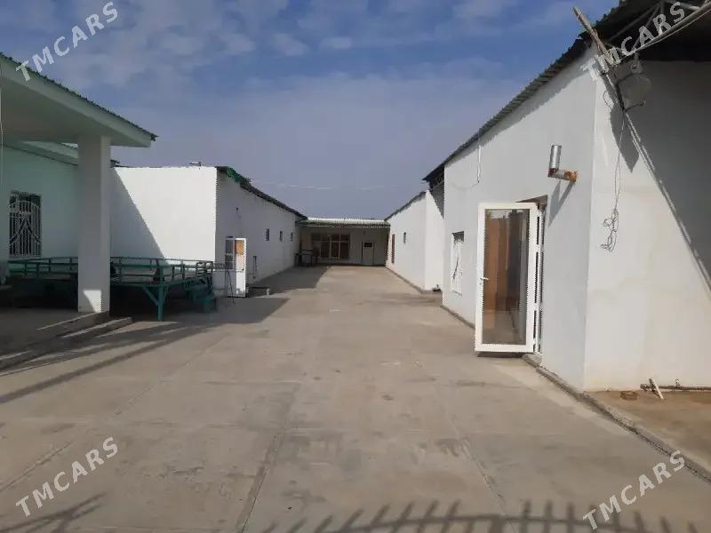 SATLYK 9 KOMISAR 16 SOTOK - Aşgabat - img 3