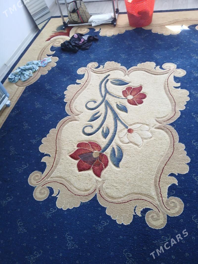 Haly - Balkanabat - img 2