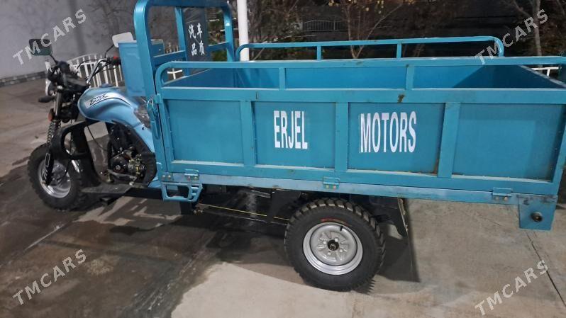 Fekon FK200-14G 2025 - 33 000 TMT - Sakarçäge - img 6