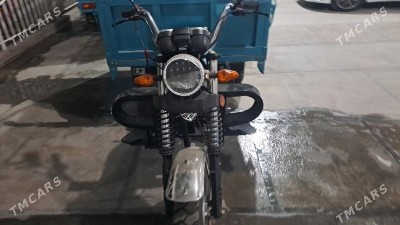 Fekon FK200-14G 2025 - 33 000 TMT - Sakarçäge - img 5