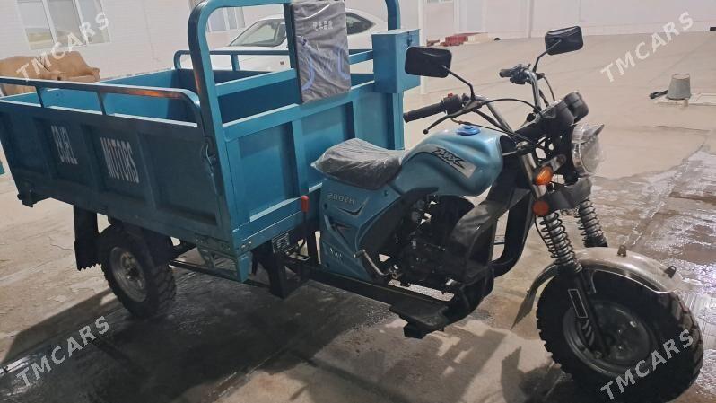 Fekon FK200-14G 2025 - 33 000 TMT - Sakarçäge - img 7