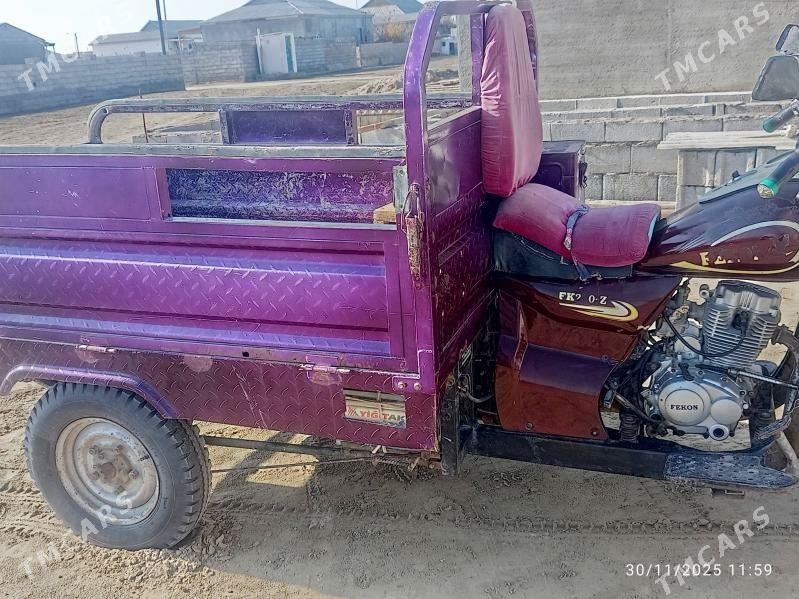 Fekon FK200-14G 2014 - 19 000 TMT - Эсенгулы - img 3