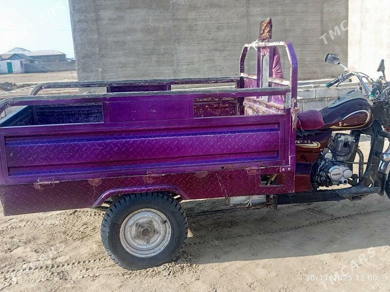 Fekon FK200-14G 2014 - 19 000 TMT - Эсенгулы - img 6