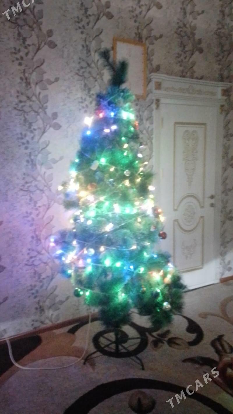 ýolka (arça ) - Векильбазар - img 4