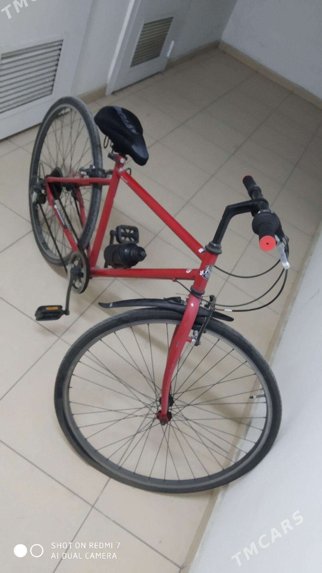 Tigir Original - Ашхабад - img 4