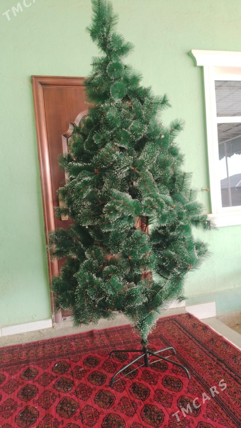 ýolka (arça ) - Векильбазар - img 2