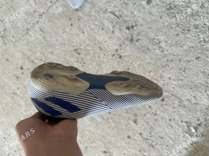 NEMESIS - Чоганлы - img 2